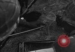 Image of African American officer Latignano Italy, 1944, second 43 stock footage video 65675042605