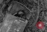 Standbild USA 969th Field Artillery Luxemburg, 1944, aus Sekunde 11 historischem Filmmaterial Videoclip 65675042607