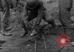 Standbild USA 969th Field Artillery Luxemburg, 1944, aus Sekunde 34 historischem Filmmaterial Videoclip 65675042607