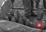 Standbild USA 969th Field Artillery Unit Luxemburg, 1944, aus Sekunde 49 historischem Filmmaterial Videoclip 65675042608