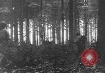Image États-Unis 28e Division d'infanterie Vossenack Allemagne, 1944, de la seconde 13 séquences d'archives historiques vidéo 65675042610