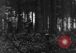 Image États-Unis 28e Division d'infanterie Vossenack Allemagne, 1944, de la seconde 31 séquences d'archives historiques vidéo 65675042610
