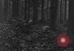 Image États-Unis 28e Division d'infanterie Vossenack Allemagne, 1944, de la seconde 45 séquences d'archives historiques vidéo 65675042610