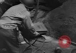 Image des civils allemands Aix-la-Chapelle en Allemagne, 1945, de la seconde 39 séquences d'archives historiques vidéo 65675042615