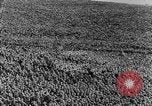 Immagine di Il tedesco dei civili in tempo di pace e durante la seconda guerra mondiale Germania, 1945, secondo 9 filmato di repertorio 65675042616