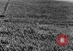 Immagine di Il tedesco dei civili in tempo di pace e durante la seconda guerra mondiale Germania, 1945, secondo 11 filmato di repertorio 65675042616