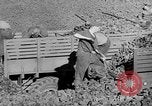 Standbild Kohle Bergbau Deutschland, 1946, aus Sekunde 49 historischem Filmmaterial Videoclip 65675042618