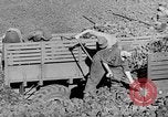 Standbild Kohle Bergbau Deutschland, 1946, aus Sekunde 51 historischem Filmmaterial Videoclip 65675042618
