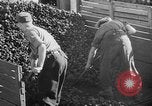 Standbild Kohle Bergbau Deutschland, 1946, aus Sekunde 54 historischem Filmmaterial Videoclip 65675042618