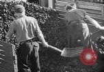 Standbild Kohle Bergbau Deutschland, 1946, aus Sekunde 55 historischem Filmmaterial Videoclip 65675042618