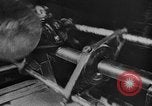 Standbild Operation Pluto europäische Theater, 1945, aus Sekunde 55 historischem Filmmaterial Videoclip 65675042622