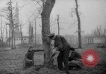 Standbild Deutsche Schneiden von Bäumen für Kraftstoff in Berlin nach Zweiten Weltkrieg Berlin Deutschland, 1945, aus Sekunde 3 historischem Filmmaterial Videoclip 65675042630