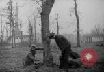 Standbild Deutsche Schneiden von Bäumen für Kraftstoff in Berlin nach Zweiten Weltkrieg Berlin Deutschland, 1945, aus Sekunde 7 historischem Filmmaterial Videoclip 65675042630