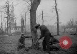 Standbild Deutsche Schneiden von Bäumen für Kraftstoff in Berlin nach Zweiten Weltkrieg Berlin Deutschland, 1945, aus Sekunde 8 historischem Filmmaterial Videoclip 65675042630