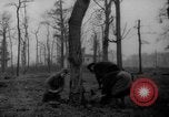 Standbild Deutsche Schneiden von Bäumen für Kraftstoff in Berlin nach Zweiten Weltkrieg Berlin Deutschland, 1945, aus Sekunde 10 historischem Filmmaterial Videoclip 65675042630