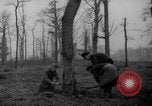 Standbild Deutsche Schneiden von Bäumen für Kraftstoff in Berlin nach Zweiten Weltkrieg Berlin Deutschland, 1945, aus Sekunde 11 historischem Filmmaterial Videoclip 65675042630