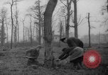 Standbild Deutsche Schneiden von Bäumen für Kraftstoff in Berlin nach Zweiten Weltkrieg Berlin Deutschland, 1945, aus Sekunde 12 historischem Filmmaterial Videoclip 65675042630