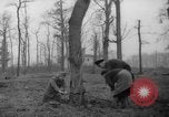 Standbild Deutsche Schneiden von Bäumen für Kraftstoff in Berlin nach Zweiten Weltkrieg Berlin Deutschland, 1945, aus Sekunde 13 historischem Filmmaterial Videoclip 65675042630