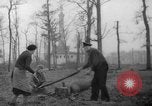 Standbild Deutsche Schneiden von Bäumen für Kraftstoff in Berlin nach Zweiten Weltkrieg Berlin Deutschland, 1945, aus Sekunde 15 historischem Filmmaterial Videoclip 65675042630