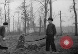 Standbild Deutsche Schneiden von Bäumen für Kraftstoff in Berlin nach Zweiten Weltkrieg Berlin Deutschland, 1945, aus Sekunde 16 historischem Filmmaterial Videoclip 65675042630