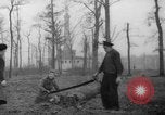 Standbild Deutsche Schneiden von Bäumen für Kraftstoff in Berlin nach Zweiten Weltkrieg Berlin Deutschland, 1945, aus Sekunde 17 historischem Filmmaterial Videoclip 65675042630