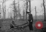 Standbild Deutsche Schneiden von Bäumen für Kraftstoff in Berlin nach Zweiten Weltkrieg Berlin Deutschland, 1945, aus Sekunde 18 historischem Filmmaterial Videoclip 65675042630