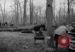Standbild Deutsche Schneiden von Bäumen für Kraftstoff in Berlin nach Zweiten Weltkrieg Berlin Deutschland, 1945, aus Sekunde 19 historischem Filmmaterial Videoclip 65675042630