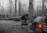 Standbild Deutsche Schneiden von Bäumen für Kraftstoff in Berlin nach Zweiten Weltkrieg Berlin Deutschland, 1945, aus Sekunde 21 historischem Filmmaterial Videoclip 65675042630