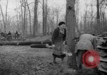 Standbild Deutsche Schneiden von Bäumen für Kraftstoff in Berlin nach Zweiten Weltkrieg Berlin Deutschland, 1945, aus Sekunde 22 historischem Filmmaterial Videoclip 65675042630