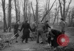 Standbild Deutsche Schneiden von Bäumen für Kraftstoff in Berlin nach Zweiten Weltkrieg Berlin Deutschland, 1945, aus Sekunde 23 historischem Filmmaterial Videoclip 65675042630