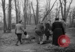 Standbild Deutsche Schneiden von Bäumen für Kraftstoff in Berlin nach Zweiten Weltkrieg Berlin Deutschland, 1945, aus Sekunde 25 historischem Filmmaterial Videoclip 65675042630