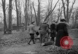 Standbild Deutsche Schneiden von Bäumen für Kraftstoff in Berlin nach Zweiten Weltkrieg Berlin Deutschland, 1945, aus Sekunde 26 historischem Filmmaterial Videoclip 65675042630