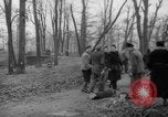 Standbild Deutsche Schneiden von Bäumen für Kraftstoff in Berlin nach Zweiten Weltkrieg Berlin Deutschland, 1945, aus Sekunde 27 historischem Filmmaterial Videoclip 65675042630