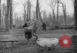 Standbild Deutsche Schneiden von Bäumen für Kraftstoff in Berlin nach Zweiten Weltkrieg Berlin Deutschland, 1945, aus Sekunde 28 historischem Filmmaterial Videoclip 65675042630