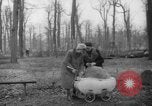 Standbild Deutsche Schneiden von Bäumen für Kraftstoff in Berlin nach Zweiten Weltkrieg Berlin Deutschland, 1945, aus Sekunde 35 historischem Filmmaterial Videoclip 65675042630