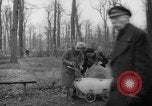 Standbild Deutsche Schneiden von Bäumen für Kraftstoff in Berlin nach Zweiten Weltkrieg Berlin Deutschland, 1945, aus Sekunde 36 historischem Filmmaterial Videoclip 65675042630