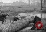 Standbild Deutsche Schneiden von Bäumen für Kraftstoff in Berlin nach Zweiten Weltkrieg Berlin Deutschland, 1945, aus Sekunde 46 historischem Filmmaterial Videoclip 65675042630