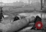 Standbild Deutsche Schneiden von Bäumen für Kraftstoff in Berlin nach Zweiten Weltkrieg Berlin Deutschland, 1945, aus Sekunde 47 historischem Filmmaterial Videoclip 65675042630
