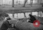 Standbild Deutsche Schneiden von Bäumen für Kraftstoff in Berlin nach Zweiten Weltkrieg Berlin Deutschland, 1945, aus Sekunde 54 historischem Filmmaterial Videoclip 65675042630