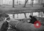Standbild Deutsche Schneiden von Bäumen für Kraftstoff in Berlin nach Zweiten Weltkrieg Berlin Deutschland, 1945, aus Sekunde 55 historischem Filmmaterial Videoclip 65675042630
