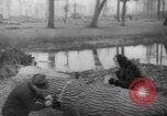 Standbild Deutsche Schneiden von Bäumen für Kraftstoff in Berlin nach Zweiten Weltkrieg Berlin Deutschland, 1945, aus Sekunde 56 historischem Filmmaterial Videoclip 65675042630
