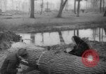 Standbild Deutsche Schneiden von Bäumen für Kraftstoff in Berlin nach Zweiten Weltkrieg Berlin Deutschland, 1945, aus Sekunde 57 historischem Filmmaterial Videoclip 65675042630