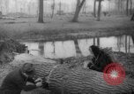 Standbild Deutsche Schneiden von Bäumen für Kraftstoff in Berlin nach Zweiten Weltkrieg Berlin Deutschland, 1945, aus Sekunde 58 historischem Filmmaterial Videoclip 65675042630