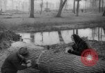 Standbild Deutsche Schneiden von Bäumen für Kraftstoff in Berlin nach Zweiten Weltkrieg Berlin Deutschland, 1945, aus Sekunde 59 historischem Filmmaterial Videoclip 65675042630