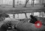 Standbild Deutsche Schneiden von Bäumen für Kraftstoff in Berlin nach Zweiten Weltkrieg Berlin Deutschland, 1945, aus Sekunde 61 historischem Filmmaterial Videoclip 65675042630