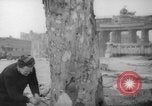 Standbild Schneiden von Bäumen Berlin Deutschland, 1945, aus Sekunde 15 historischem Filmmaterial Videoclip 65675042631