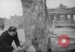 Standbild Schneiden von Bäumen Berlin Deutschland, 1945, aus Sekunde 16 historischem Filmmaterial Videoclip 65675042631