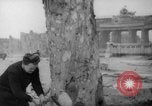 Standbild Schneiden von Bäumen Berlin Deutschland, 1945, aus Sekunde 20 historischem Filmmaterial Videoclip 65675042631