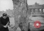 Standbild Schneiden von Bäumen Berlin Deutschland, 1945, aus Sekunde 23 historischem Filmmaterial Videoclip 65675042631