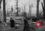 Standbild Schneiden von Bäumen Berlin Deutschland, 1945, aus Sekunde 44 historischem Filmmaterial Videoclip 65675042631
